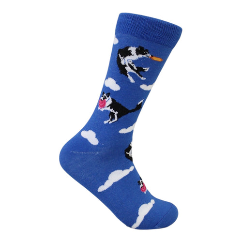 Calcetín Perro Collie Frisbee